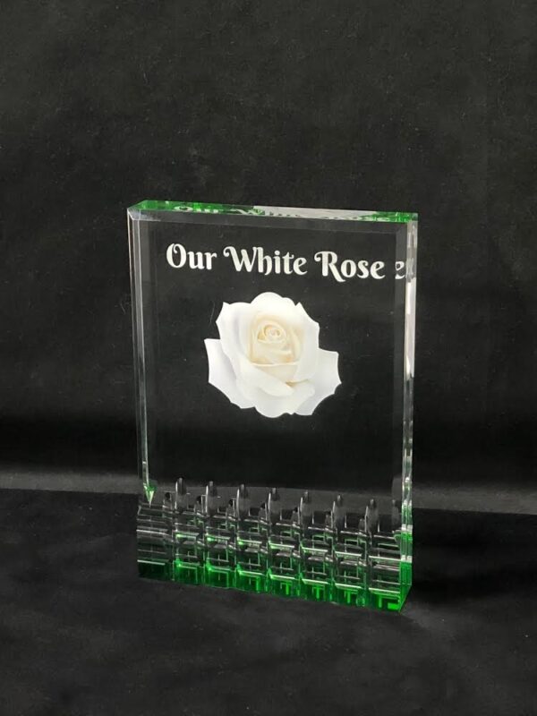 lucite plaque Daughters of the Nile Foundation